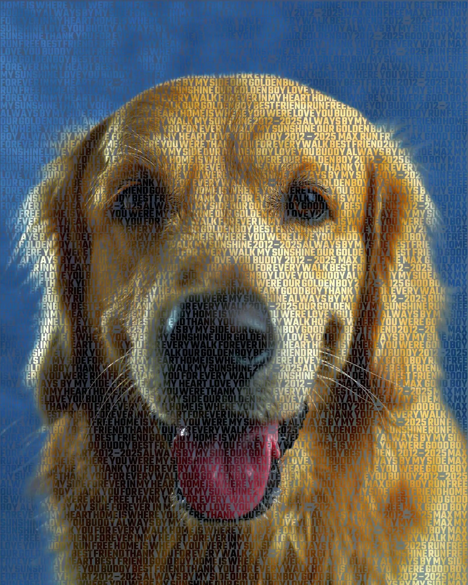 Max, 2012 – 2025