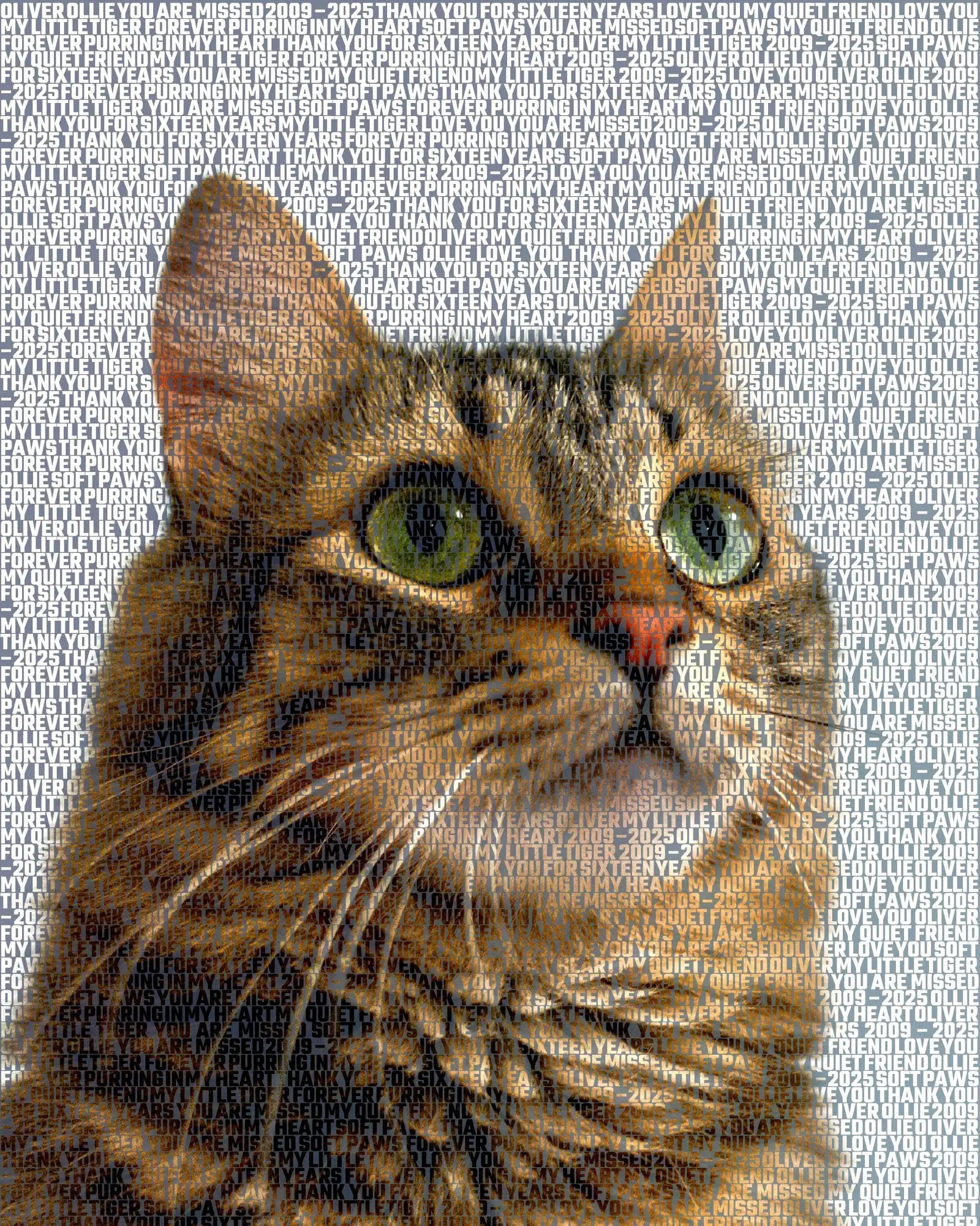 Oliver, 2009 – 2025